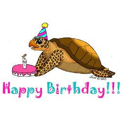 happy_birthday_greeting_cards_pk_of_20.jpg?height=250&width=250 ...