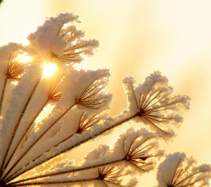 Sunshine Wallpaper Quotes Winter sunshine galaxy s3
