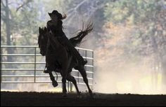 Barrel Racing and Speed is what I do best (: More