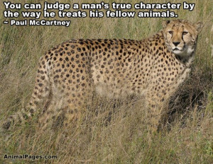 Animal Quotes Part 4