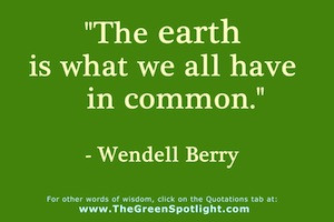 Wendell Berry Quote