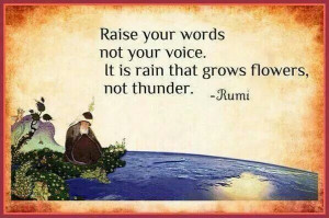 Raise your words, not your voice