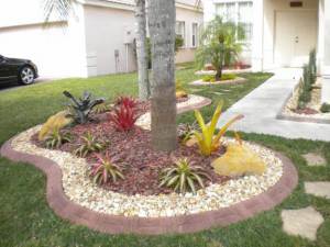 South Florida Landscaping Ideas Back Yard