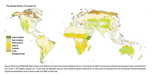 Grassland World Map Climates