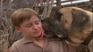 Tom-Guiry-as-Scotty-Smalls-in-The-Sandlot-tom-guiry-24442970-1360-768 ...