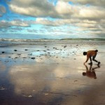 Beach-Combing Your Life