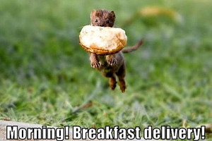 Funny Animal Wednesday Quotes Weasel funny animal humor 25