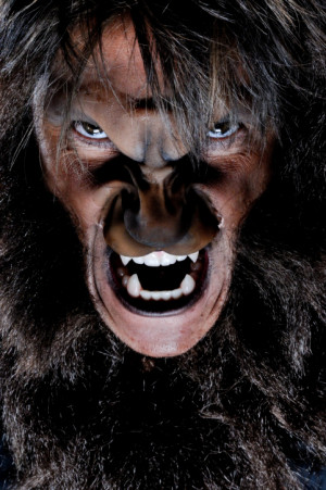 Scary Stories and Urban Legends