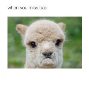 when you miss bae