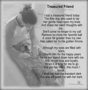 lost my treasured friend. :(