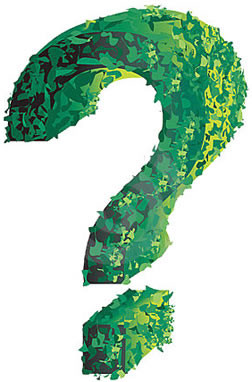 stories femal interrogation