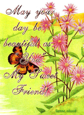 Butterfly Quotes Comment Codes for Friendster & Tagged