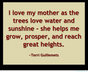 40+ Luxury Quotes About Mothers