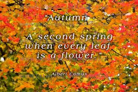 quote spring quotes about spring quotes for spring quotes on spring ...
