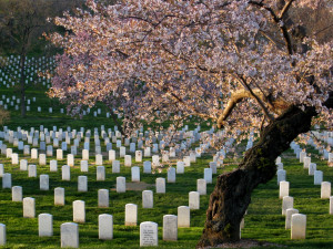 Arlington National Cemetery was established after the Civil War, on ...
