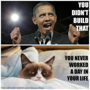 ... grumpy today. But this lifted my spirits. Grumpy Cat 10, Obama ZERO