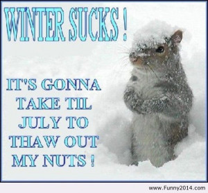 Hate Winter Quotes