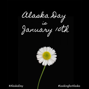debut novel Looking For Alaska post images of white flowers and quotes ...