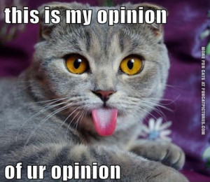 my opinion of your opinion