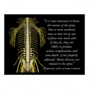 Quotes About Chiropractic