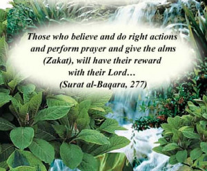 Muslim Women Are Balanced and Measured