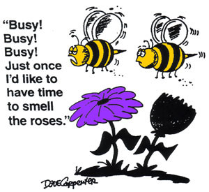 BUSY BEES, FRIDAY FUNNY