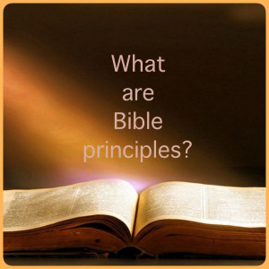Bible principles are fundamental truths. Laws may be for specific ...