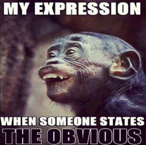My expresion when someone states the obvious.