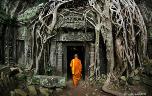 Jungles / Temple at Angkor Wat, Cambodia by © Timothy Allen/BBC ...