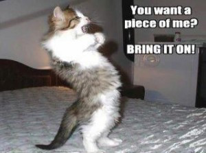 Bring It On Funny Pictures