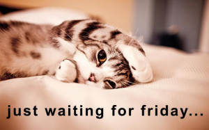 Just waiting for…