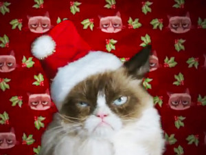 Grumpy Cat Net Worth $100 Million: Report