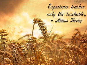 Experience Quotes and Sayings