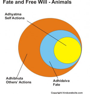 541 x 571 px fate vs free will fate and free will in case www ...