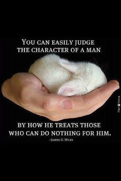 Thoughts, Character Quotes, Baby Bunnies, True Words, So True, Pay ...