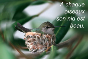 The bird loves her own nest.