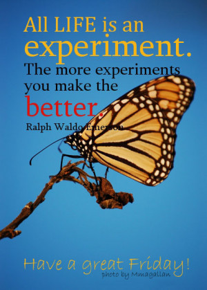 Best Quotation Its Friday Quotes And Sayings Funny Doblelol