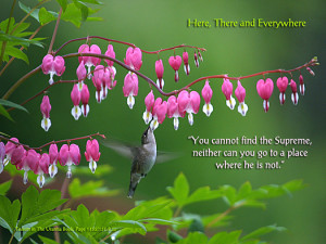 taoism quotes. Everywhere - Quote of the