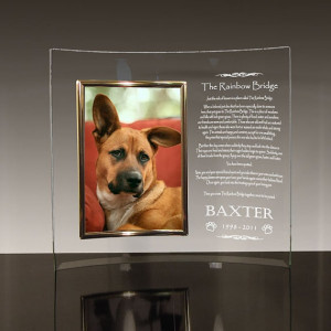 cool memorial frame for your pet!
