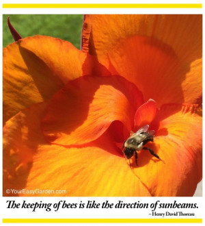 Great Nature and Gardening Quotes