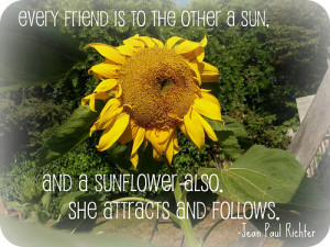 Tags: quote , sunflower , friendship