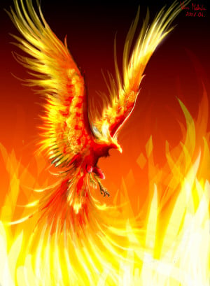 Phoenix (by Vass Melinda)