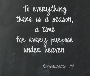 Ecclesiastes 3 Quotes