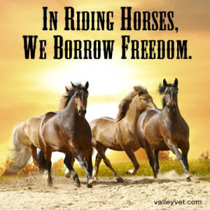 In Riding Horses, We Borrow Freedom.