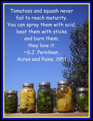 vinyl wall quotes or motivational quotes about integrity to come ...