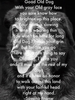 Good Old Dog With Your Old Gray Face You Sure Know How To Brighter Up ...