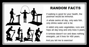 Funny Exercise Facts. I Wanna be Lazy!