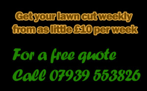 GARDEN SERVICES Grass Cutting Service Tidy Ups FREE QUOTE 5