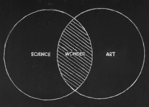 Brilliant Venn Diagram on Art and Science