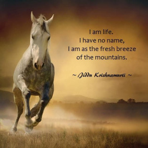 am life. I have no name. I am as the fresh breeze of the mountains ...